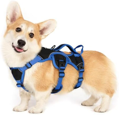 rabbitgoo Escape Proof Dog Harness by rabbitgoo