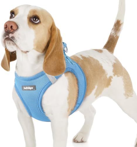 rabbitgoo Step-in Small Dog Harness, Puppy Vest by rabbitgoo