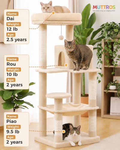 MUTTROS Cat Tree for Large Cats Adult - Image 2