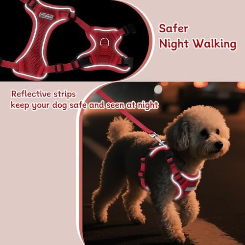 Small Dog Harness and Leash Set, Adjustable Small Sized Pet Vest - Image 4