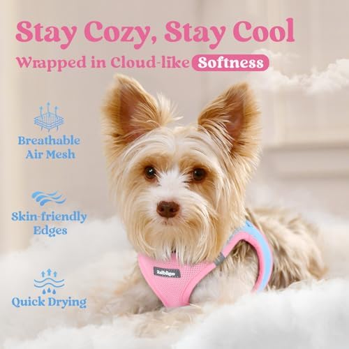rabbitgoo Step-in Small Dog Harness, Puppy Vest - Image 3