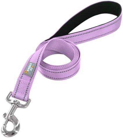 6 FT Basic Dog Leash for Small Dogs - Image 3