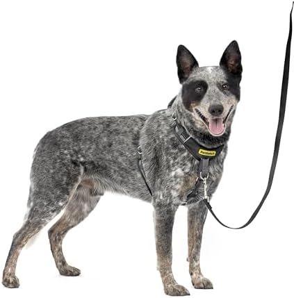 PetSafe Easy Walk Comfort No Pull Dog Harness by PetSafe
