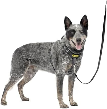 PetSafe Easy Walk Comfort No Pull Dog Harness by PetSafe