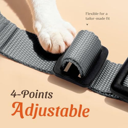 Dooradar Cat Harness and Leash Set, Adjustable and Escape Proof - Image 3