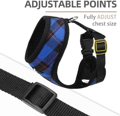 PUPTECK Small Dog Harness and Leash Set No Pull - Image 3