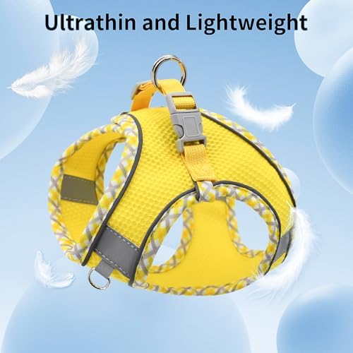 AIITLE Tiny Dog Harness and Leash Set, Step-in Vest - Image 2