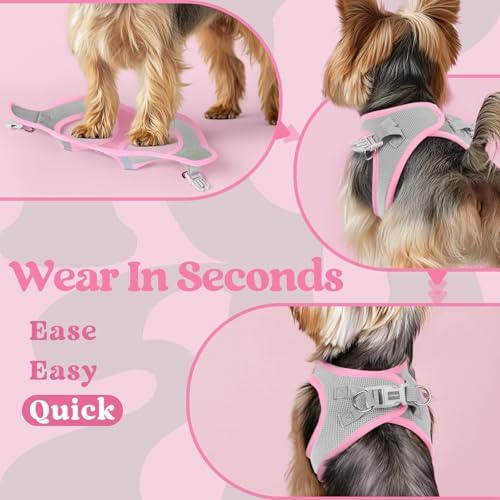 rabbitgoo Step-in Small Dog Harness, Puppy Vest - Image 5