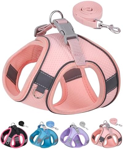 Dog Harness for Small Medium Sized Dog, Step in Puppy Harness and Leash Set by Aecllcea