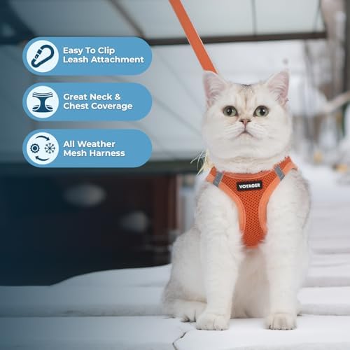 Voyager Step-in Air Cat Harness & Leash Set - Image 5