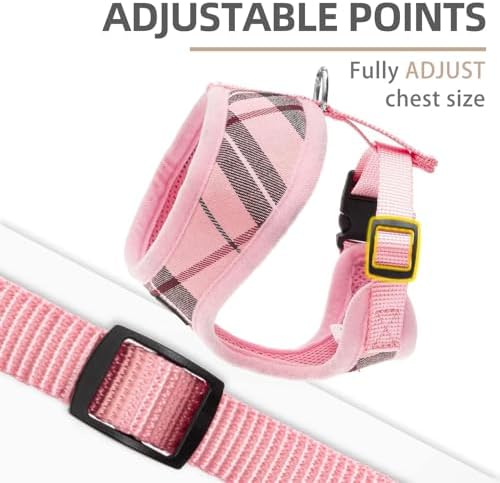 PUPTECK Small Dog Harness and Leash Set No Pull - Image 3