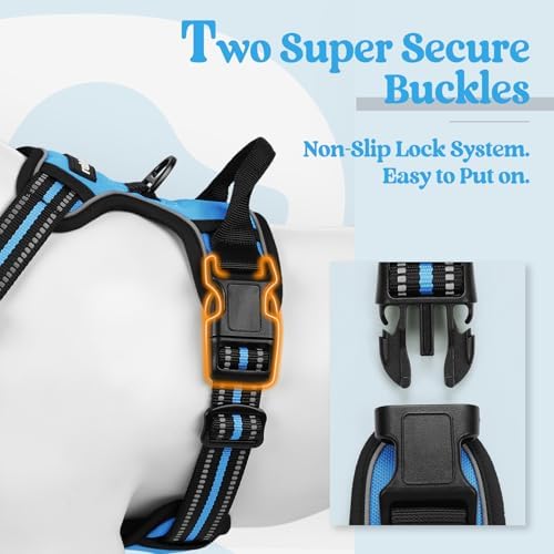 rabbitgoo Dog Harness, No Pull Medium Sized - Image 3