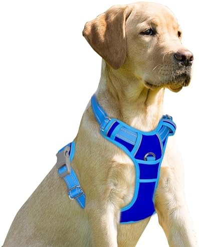 BARKBAY Dog Harness No Pull for Small Sized Dog Front Back Clips, Dog Vest by BARKBAY