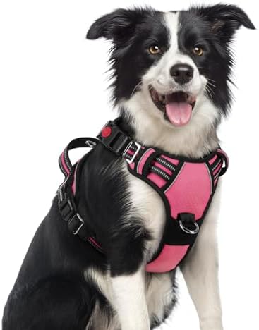 rabbitgoo Dog Harness Medium Sized, No Pull 3 Buckles Easy On & Off by rabbitgoo