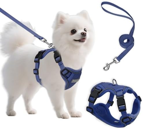 Small Dog Harness and Leash Set, Adjustable Small Sized Pet Vest by Unknown