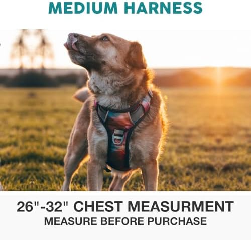 Embark No Pull Dog Harness, Reflective Adjustable Training Vest, No Choke - Image 3