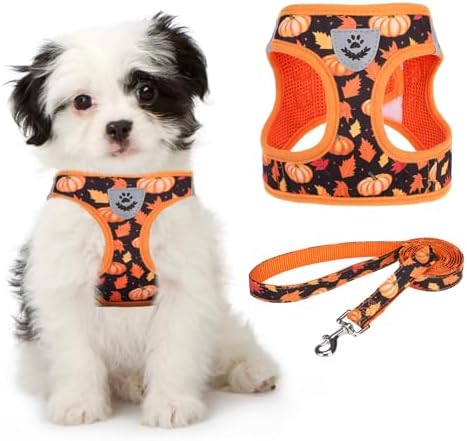 KOOLTAIL Fall Dog Harness and Leash Set by KOOLTAIL
