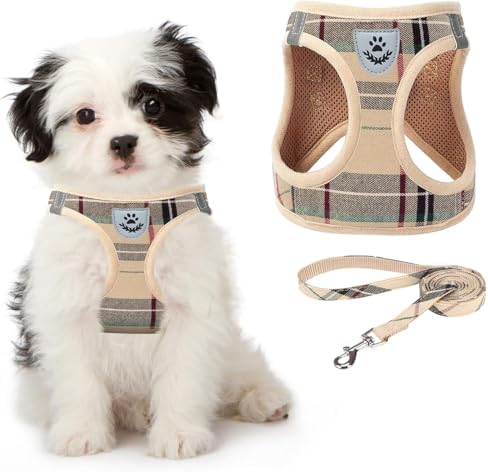 KOOLTAIL Dog Harness for Small Medium Dogs, Dog Harness and Leash Set, Step in by KOOLTAIL