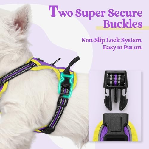 rabbitgoo Dog Harness, No Pull for Small Dogs - Image 3