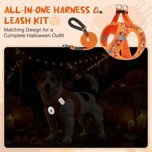 BEAUTYZOO Small Dog Harness and Leash Set, Step in No Choke No Pull Soft Mesh - Image 6