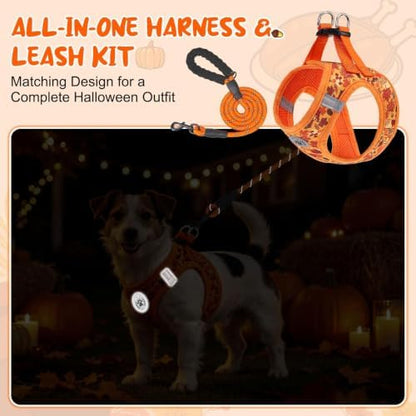 BEAUTYZOO Small Dog Harness and Leash Set, Step in No Choke No Pull Soft Mesh - Image 6
