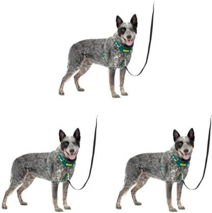 PetSafe Easy Walk Comfort No Pull Dog Harness by PetSafe