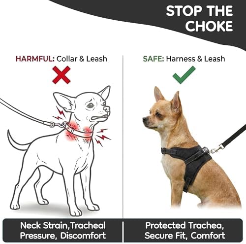 Dog Harness Small Sized Dogs - Image 5