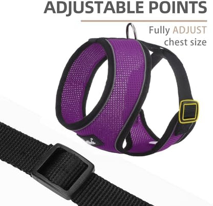 PUPTECK Small Dog Harness and Leash Set No Pull - Image 3