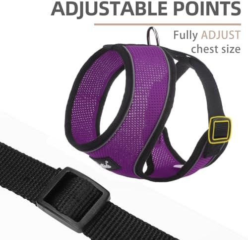 PUPTECK Small Dog Harness and Leash Set No Pull - Image 3