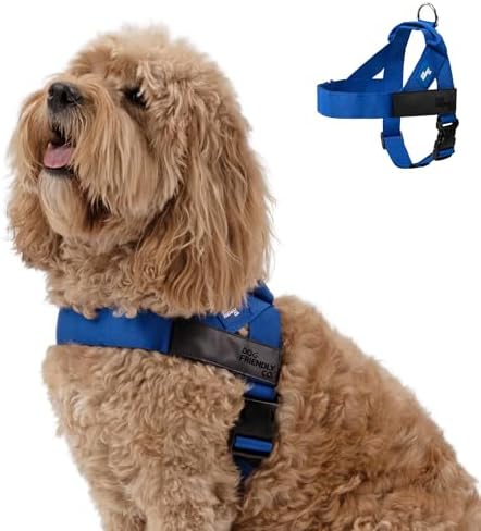 Dog Friendly Co. Dog Harness for Small Dogs by DogFriendly