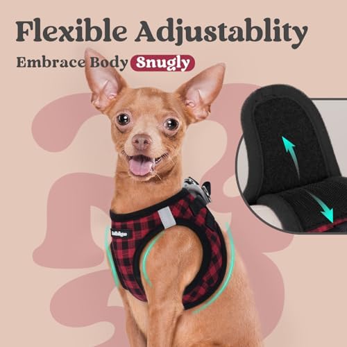 rabbitgoo Step-in Small Dog Harness, Puppy Vest - Image 6
