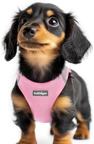 rabbitgoo Step-in Small Dog Harness, Puppy Vest by rabbitgoo