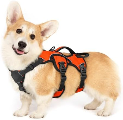 rabbitgoo Escape Proof Dog Harness by rabbitgoo