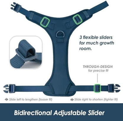 Sunraymascota No Pull Dog Harness - Image 4