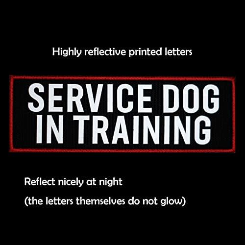 2 Pcs Reflective Service Dog in Training Patch - Image 2