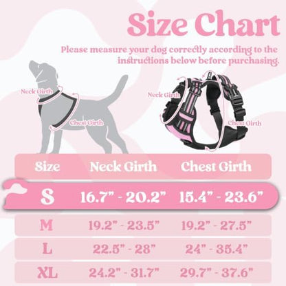 rabbitgoo Dog Harness Small Sized, Updated Easy On & Off - Image 2