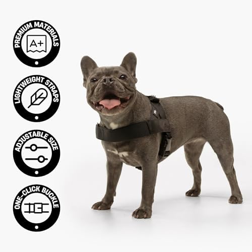 Dog Friendly Co. Dog Harness for Large Dogs - Image 4