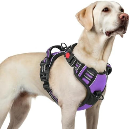 rabbitgoo Dog Harness for Large, Updated Easy On & Off by rabbitgoo
