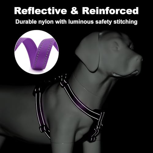 Plutus Pet No Pull Dog Harness - Image 4