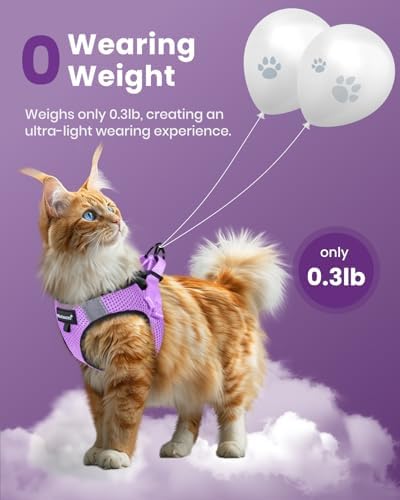 FAYOGOO Cat Harness and Leash Set, Escape-Proof Step-in Vest - Image 4