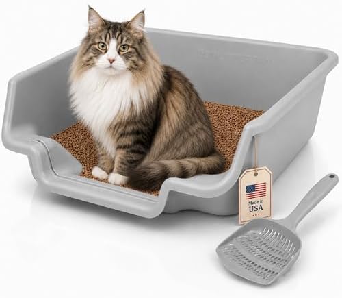 KittyGoHere Senior Cat Litter Box, Cat Litter Pan by NE14pets