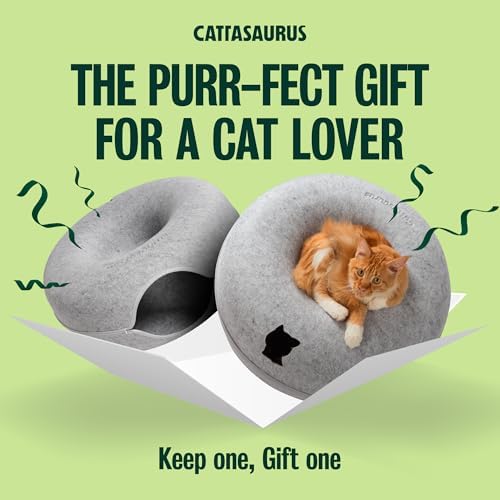 Cattasaurus Peekaboo Cat Cave Donut - Image 4