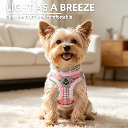 PUPTECK Dog Harness, Collar and Leash Set No Pull - Image 3
