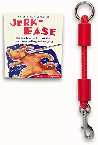 BUNGEE DOG LEASH EXTENSION – Patented Shock Absorber Attachment Protects You by Jerk-Ease