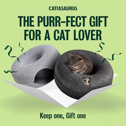 Cattasaurus Peekaboo Cat Cave Donut - Image 4