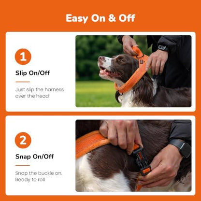 Didog No Pull Dog Harness for Large Dogs, Soft Flannel Padded - Image 3