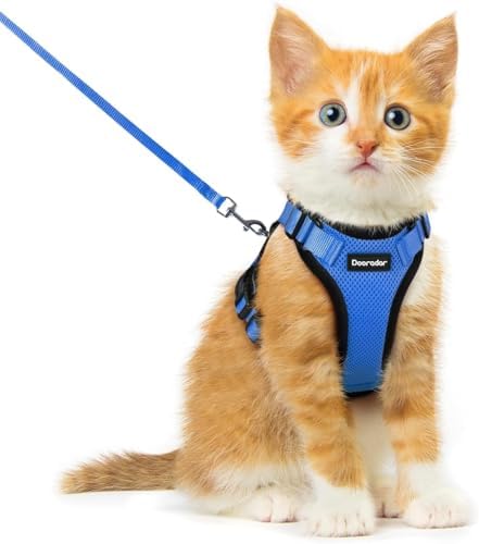 Dooradar Cat Harness and Leash Set, Adjustable and Escape Proof by Dooradar