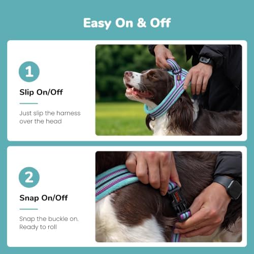 Didog No Pull Dog Harness for Small Dogs, Soft Flannel Padded, Mixed-Blue - Image 3