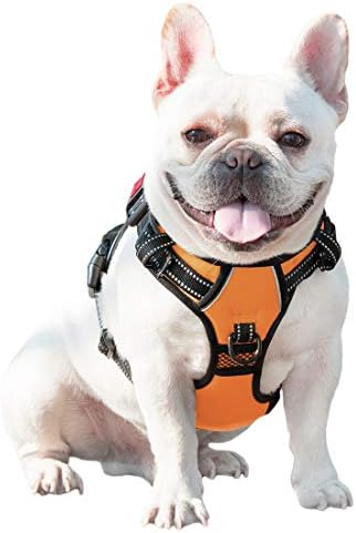 PHOEPET No Pull Dog Harnesses for Small Dogs Reflective Adjustable - Image 7