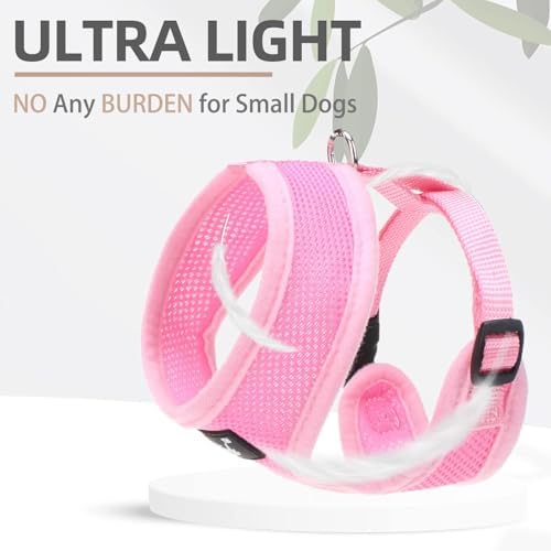 PUPTECK Small Dog Harness and Leash Set No Pull - Image 5